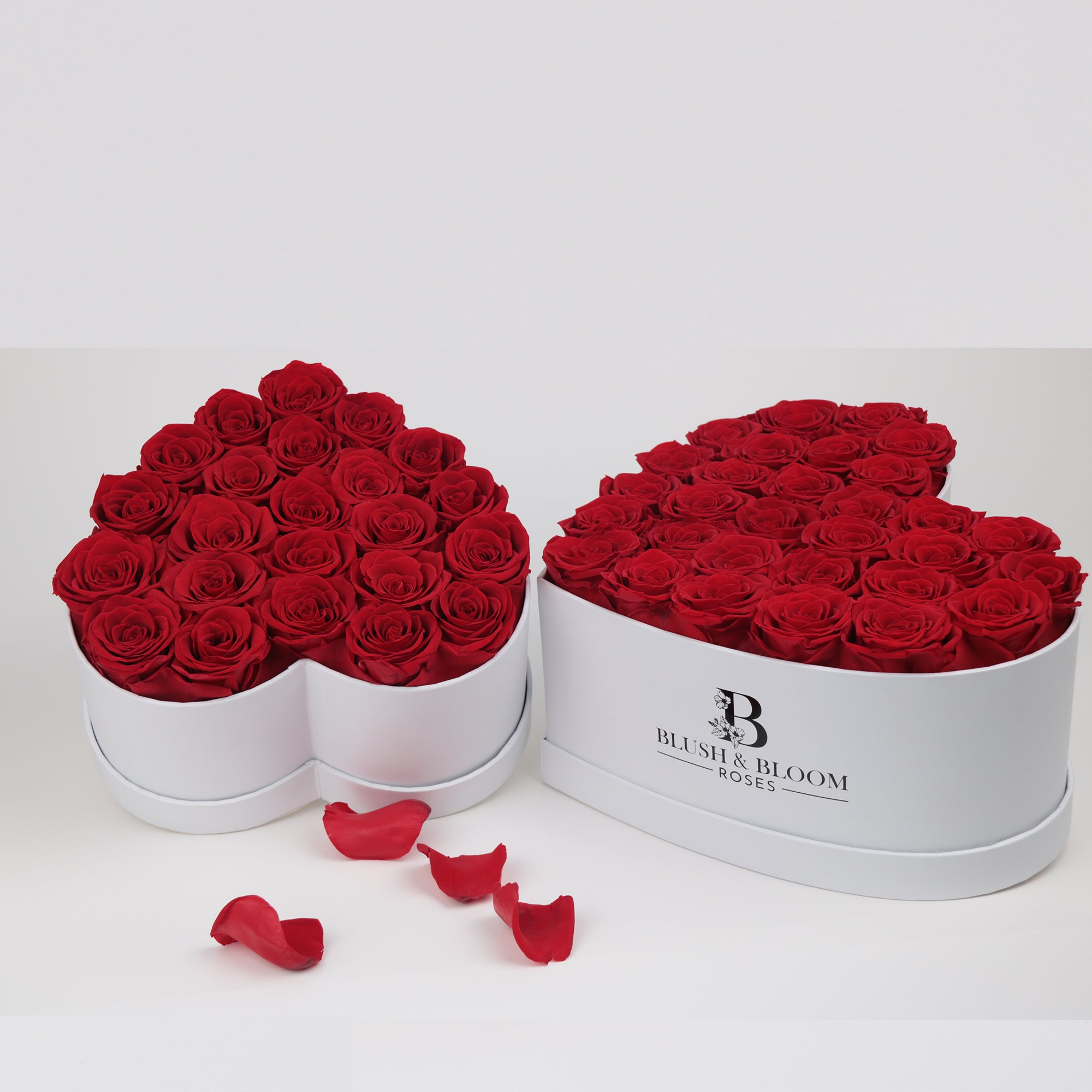 Eternal Bloom |Red Roses Heart Shaped Box White