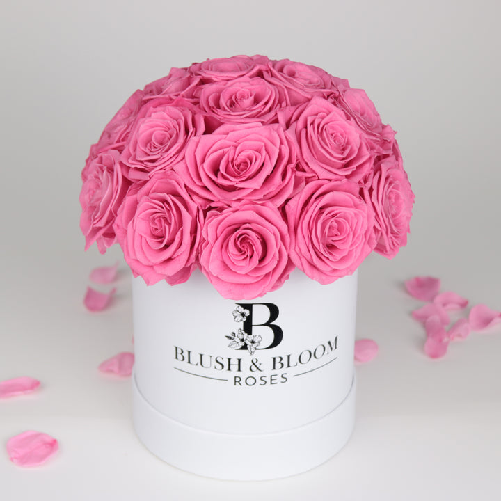 Forever Rosy| Pink Rose SuperDome White Box