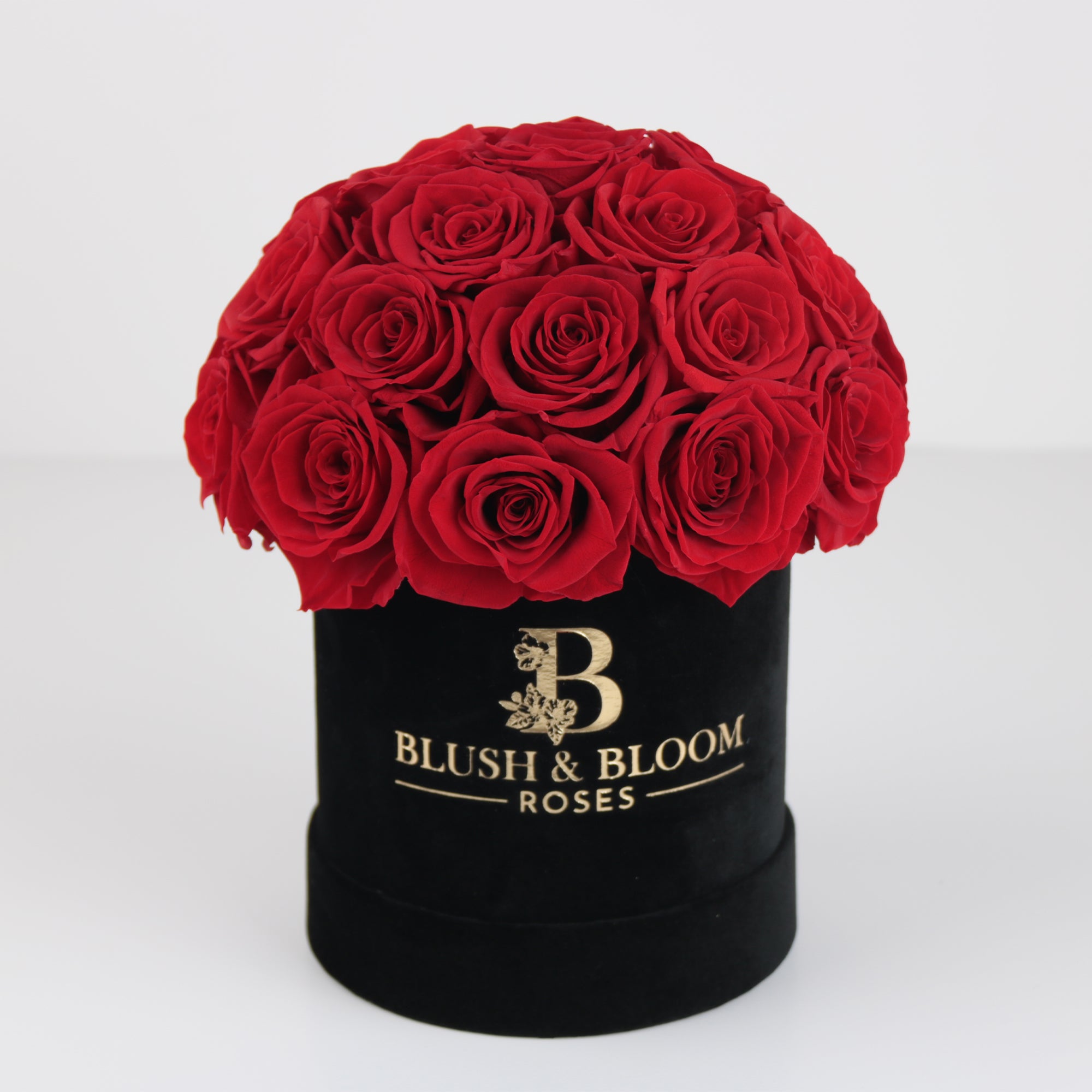 Endless Blush|  Red Rose Suede SuperDome Black Box