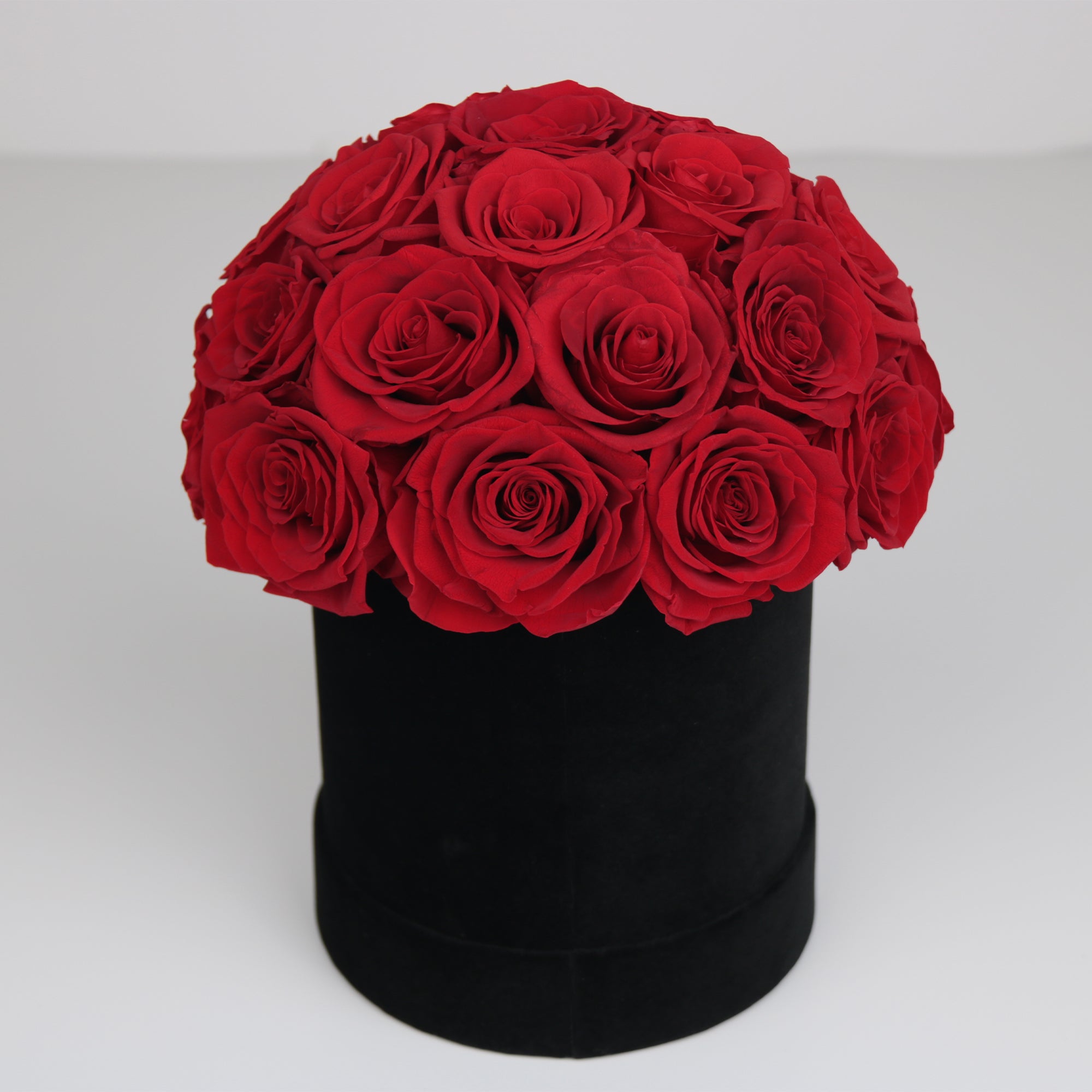 Endless Blush|  Red Rose Suede SuperDome Black Box